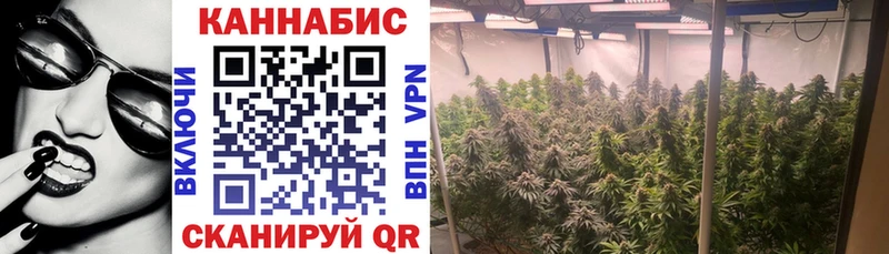 Виды наркоты Новотроицк COCAIN Меф Кодеин Амфетамин МАРИХУАНА Alpha-PVP
