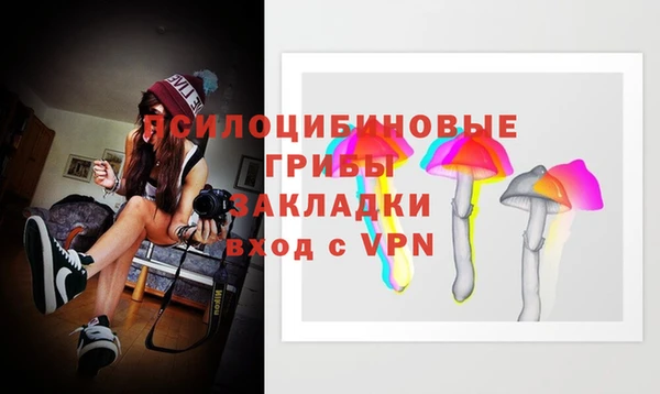 экстази Богородск