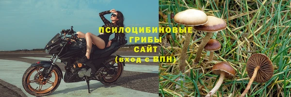 экстази Богородск