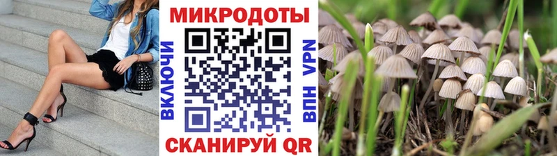 kraken онион  Новотроицк  Псилоцибиновые грибы ЛСД 